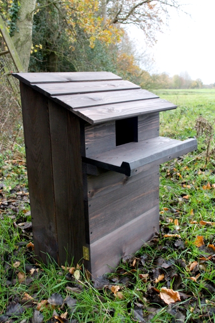 PDF DIY Woodworking Plans Owl Box Download woodworking plans secretary 