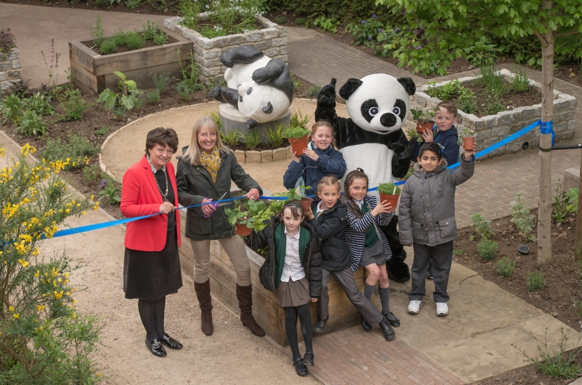 Wwf Green Ambassadors From Wicor Primary School Take The Trail